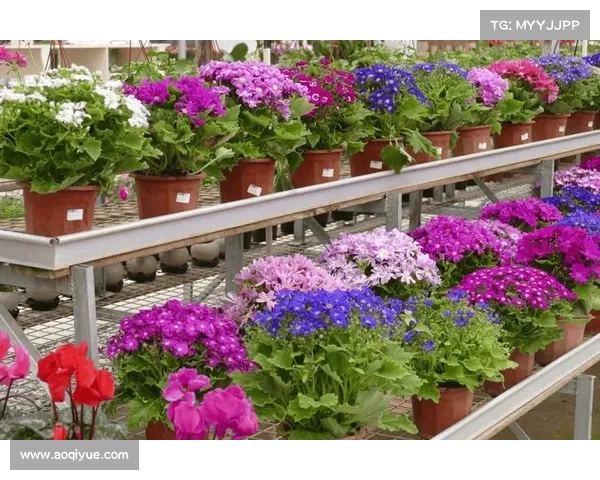 戴资颖亮相台湾园艺展览 展示精美花卉作品展现艺术与自然的完美结合 戴资颖亮相台湾园艺展览 展示精美花卉作品展现艺术与自然的完美结合